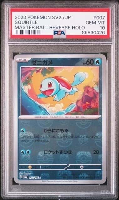 Squirtle
