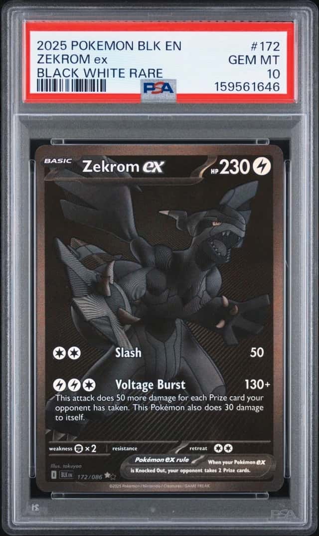 ZEKROM ex