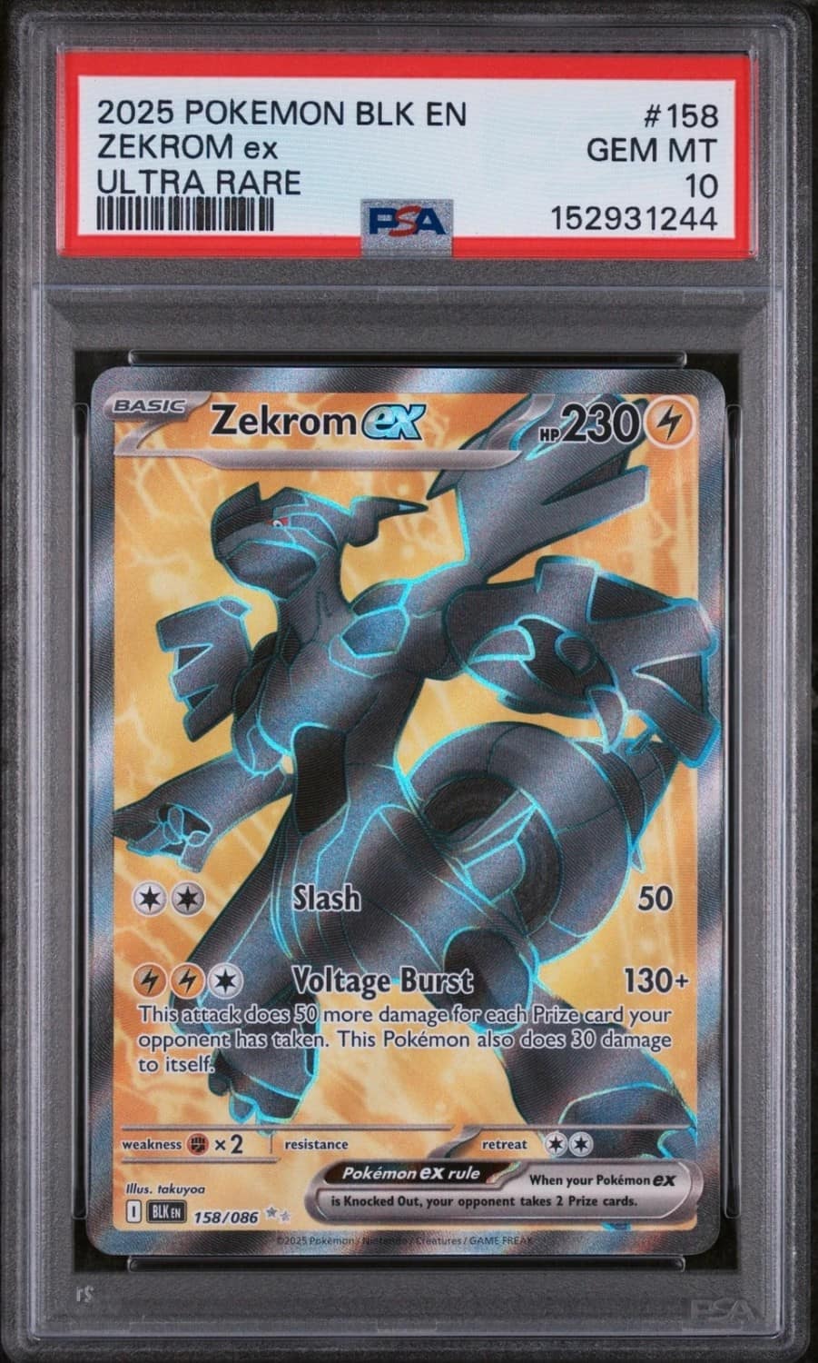 Zekrom Ex