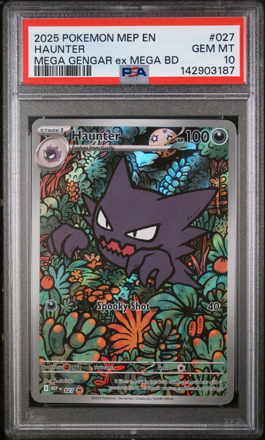 Haunter