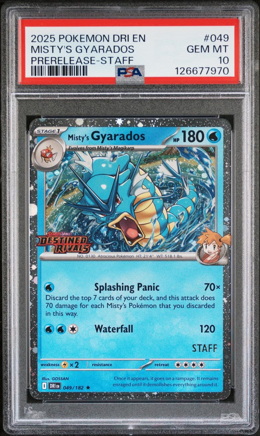 Misty'S Gyarados