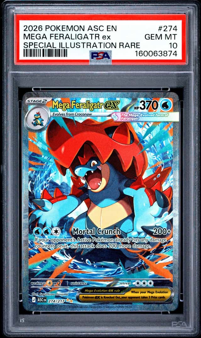 MEGA FERALIGATR ex