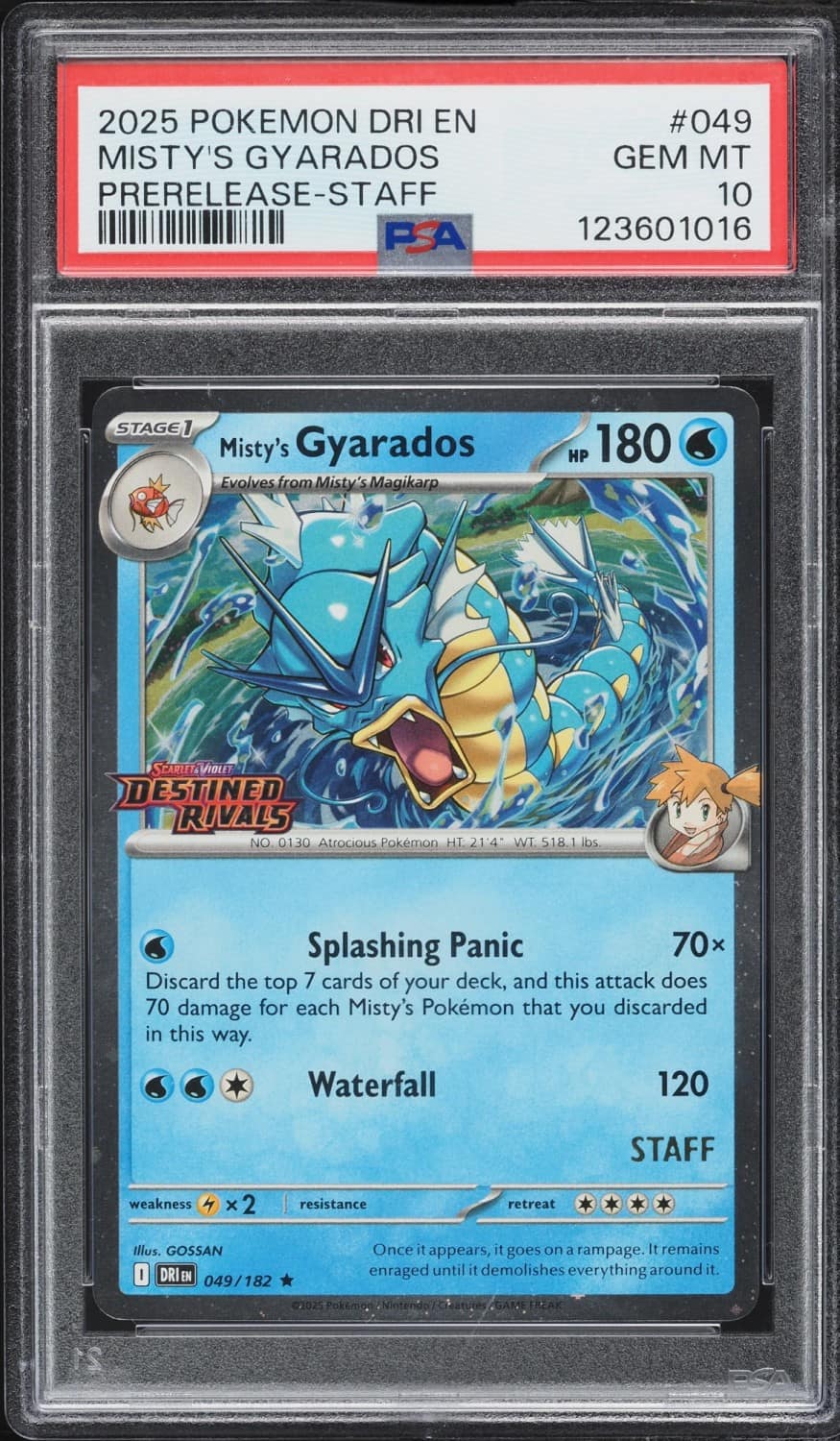 Misty'S Gyarados