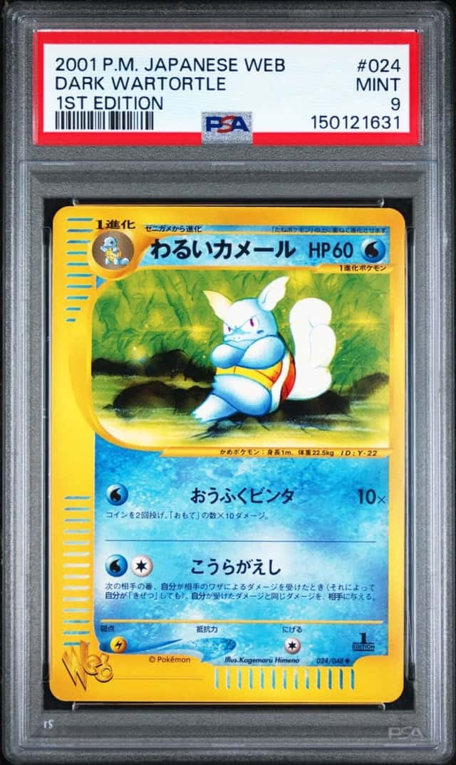 Dark Wartortle