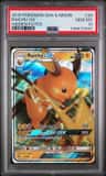 Raichu Gx