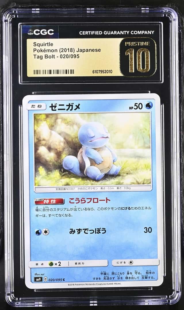 Squirtle