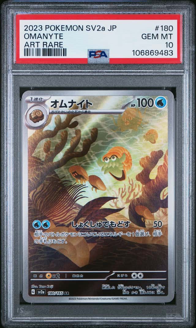 Omanyte