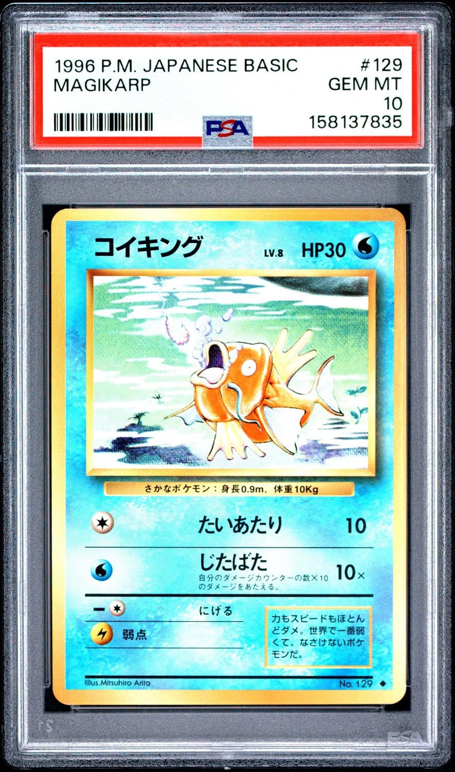Magikarp