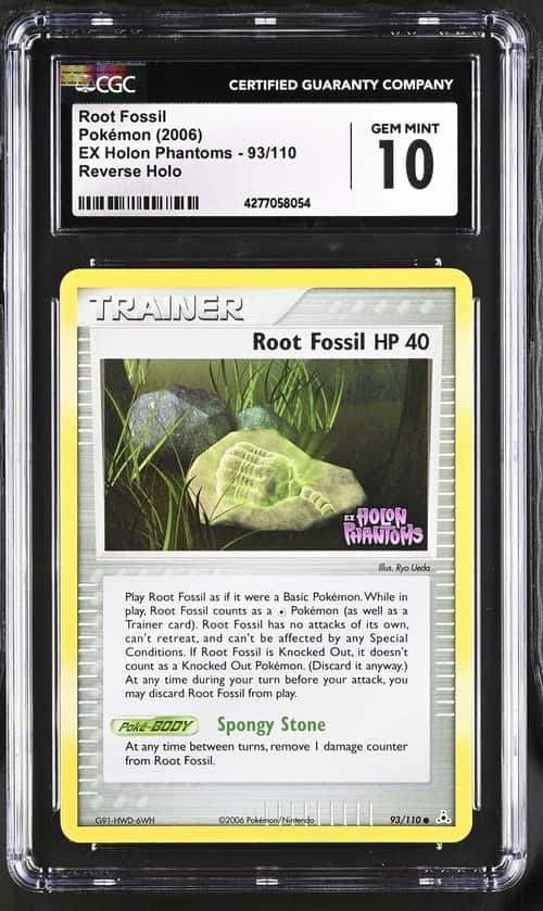 Root Fossil
