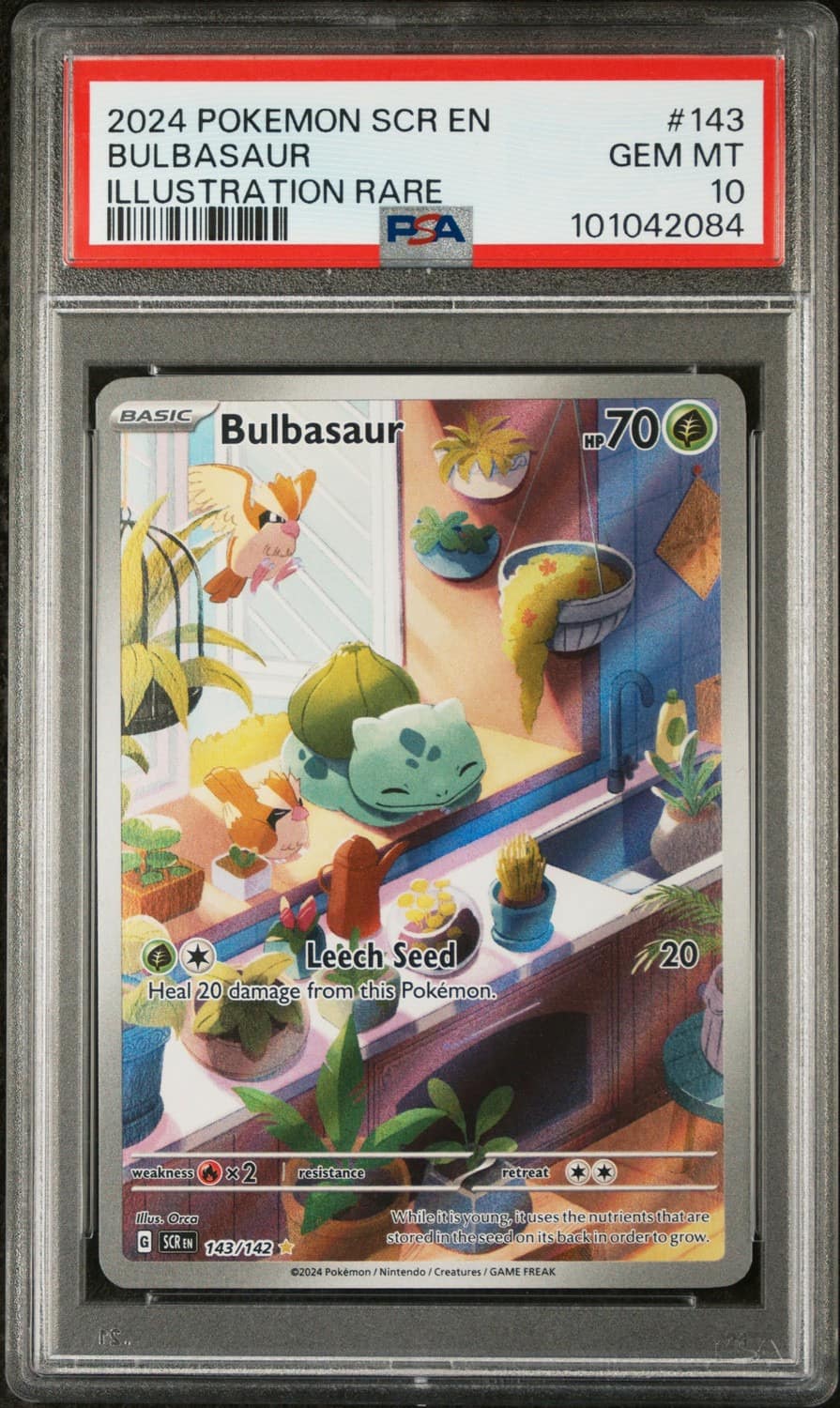 Bulbasaur