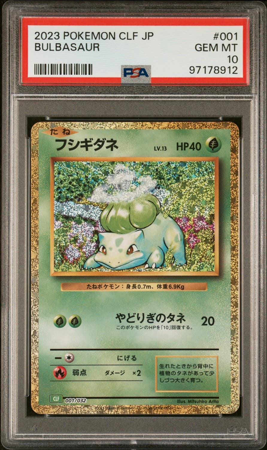 Squirtle