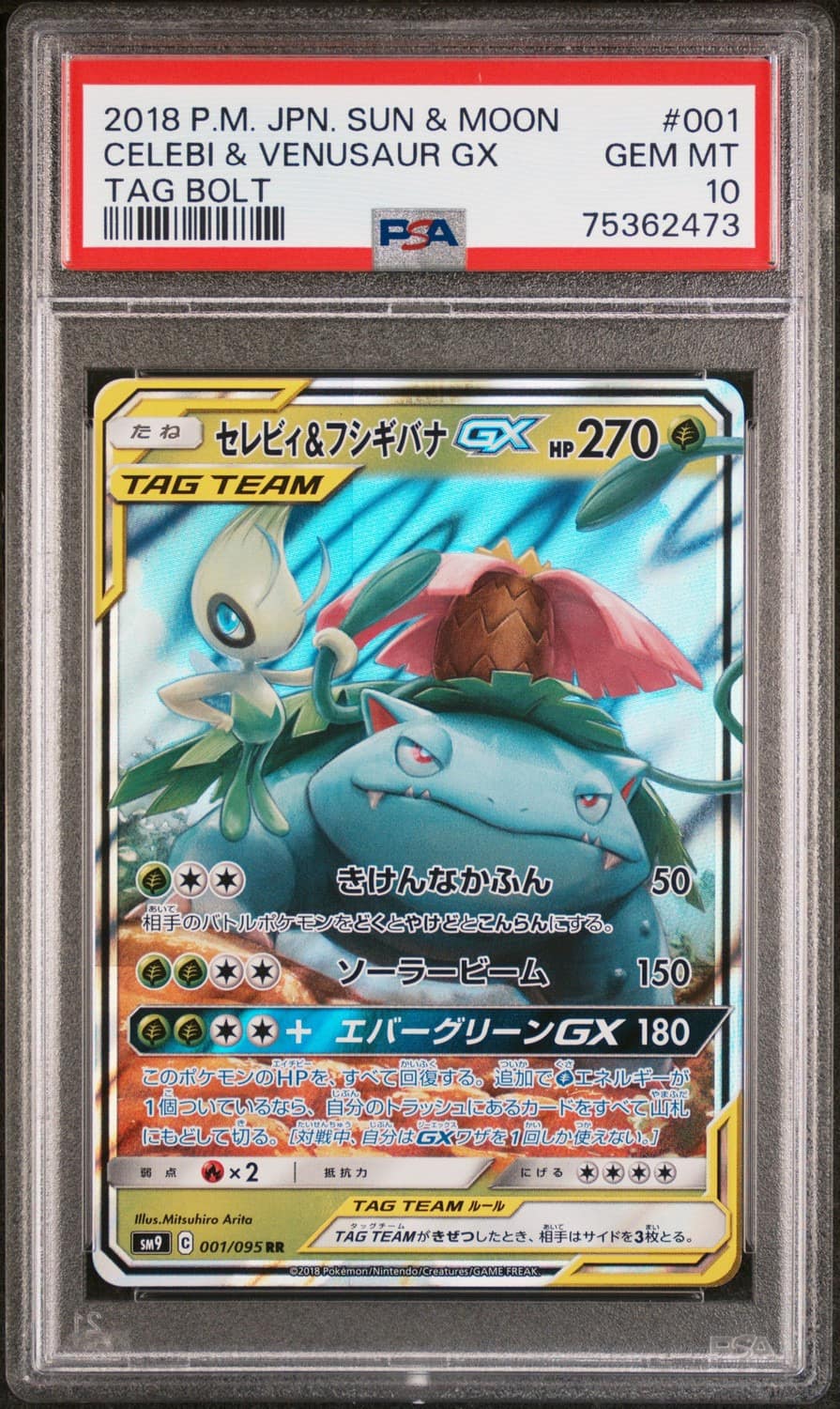 Celebi & Venusaur Gx