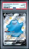 Ditto V