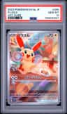 Plusle