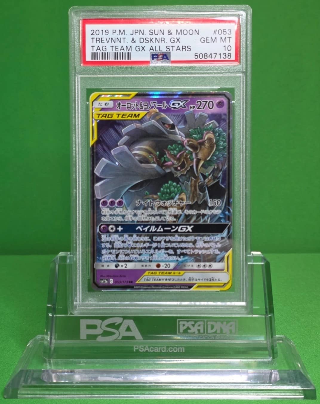 Trevenant & Dusknoir Gx