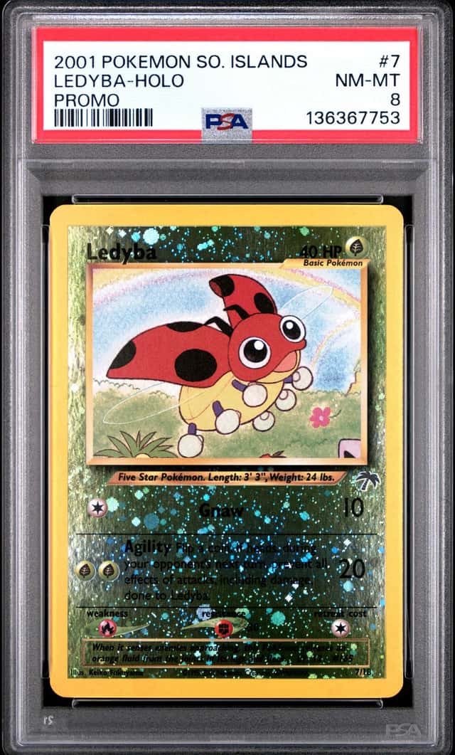 Ledyba