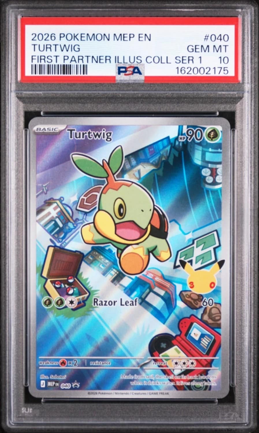 Turtwig