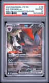 N'S Zoroark Ex