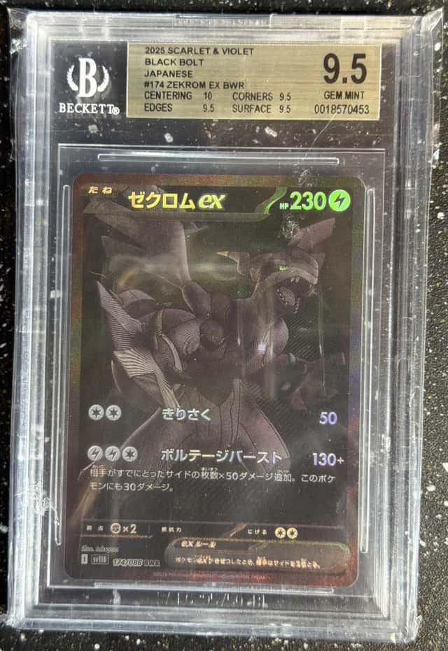 ZEKROM ex