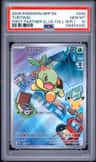 Turtwig
