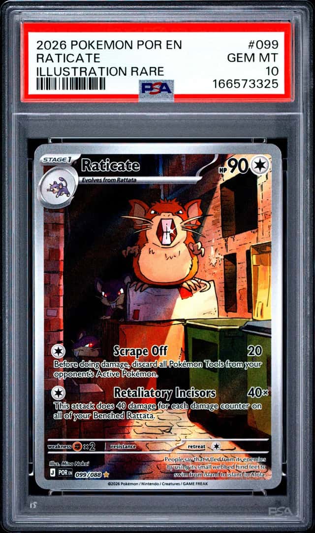 Raticate
