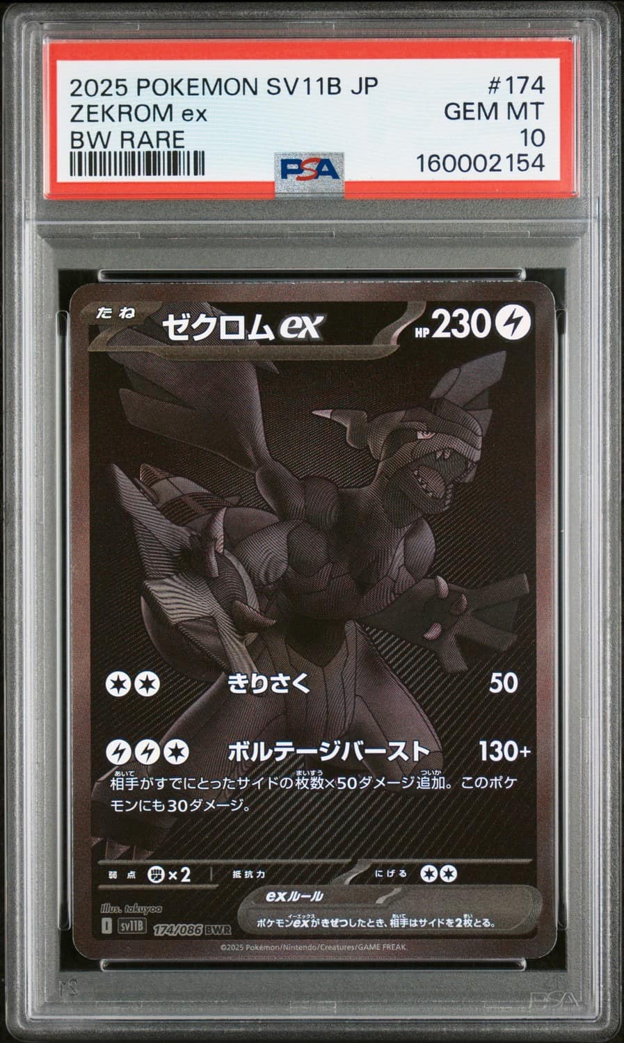 Zekrom Ex