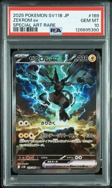 Zekrom Ex