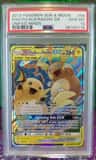 Raichu & Alolan Raichu Gx