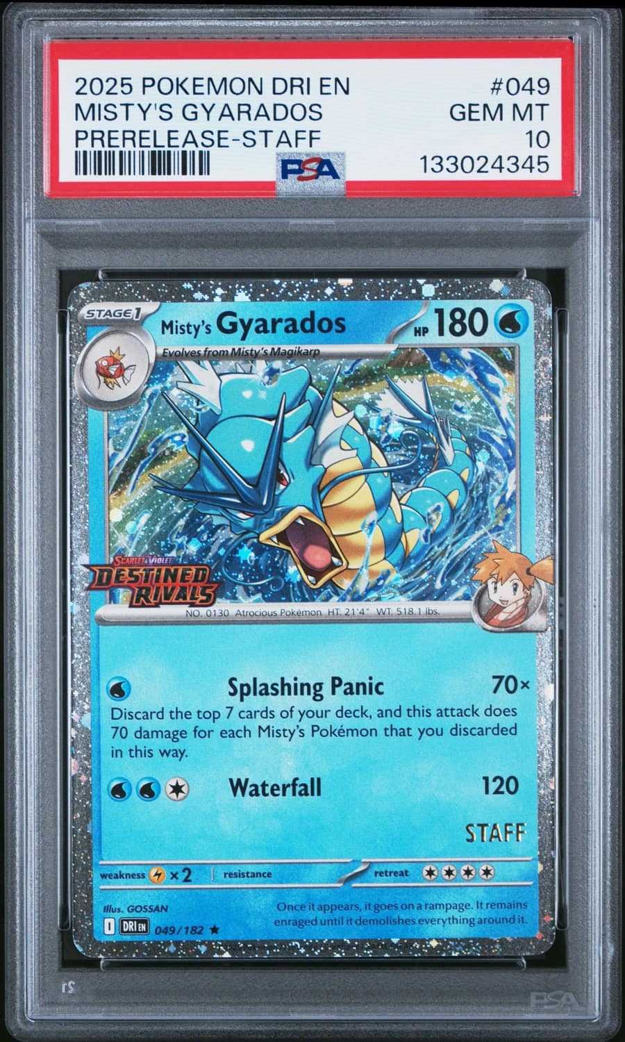 Misty'S Gyarados