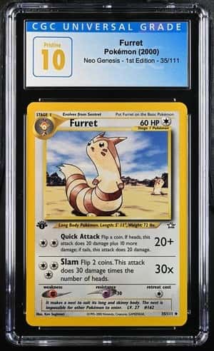 Furret
