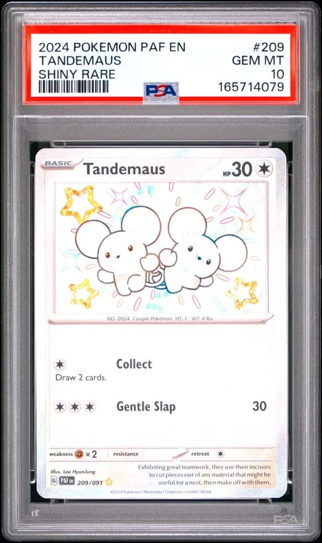 Tandemaus