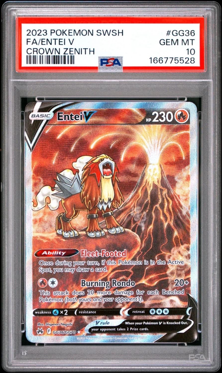 Entei V
