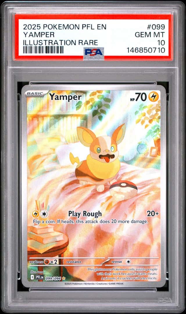 Yamper