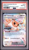 Eevee Ex