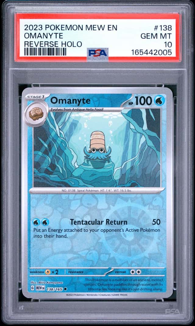 Omanyte
