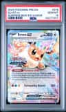 Eevee Ex