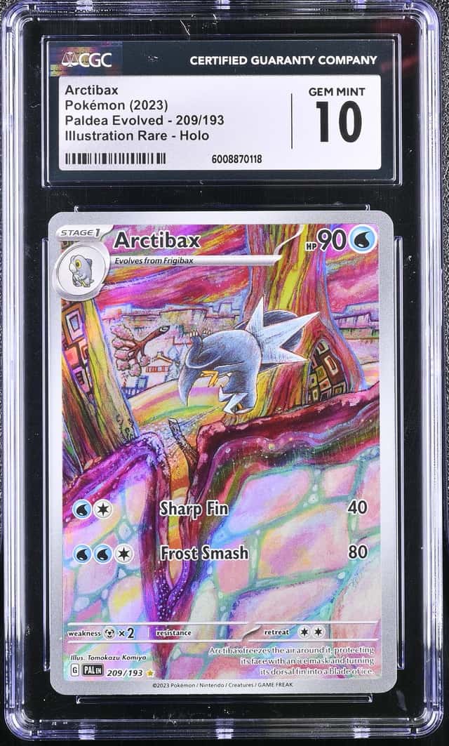 Arctibax