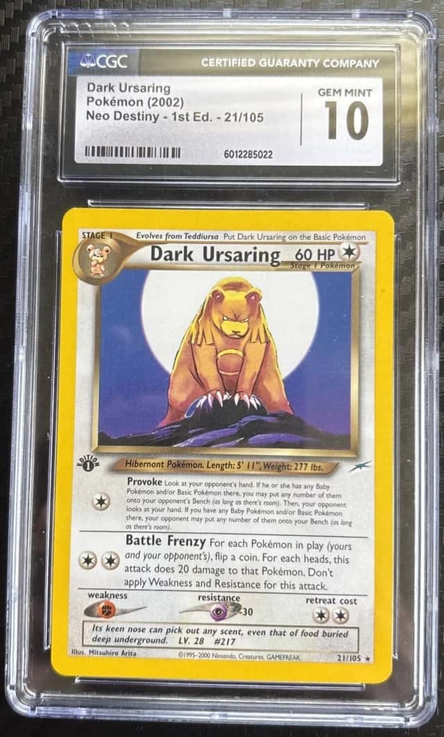Dark Ursaring