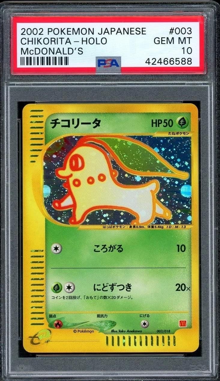 Chikorita