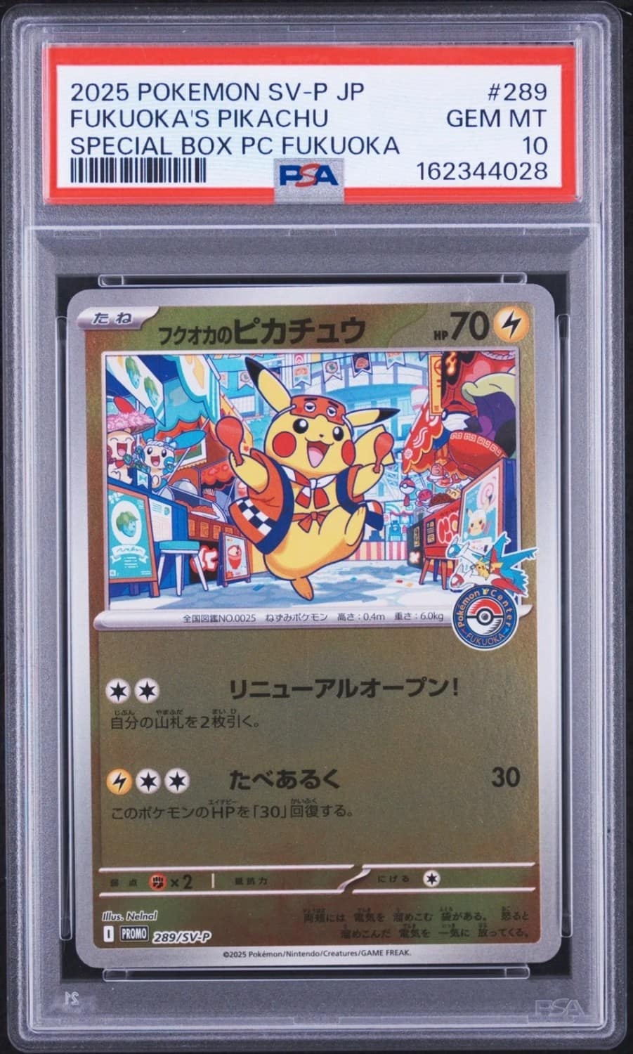 Fukuoka'S Pikachu