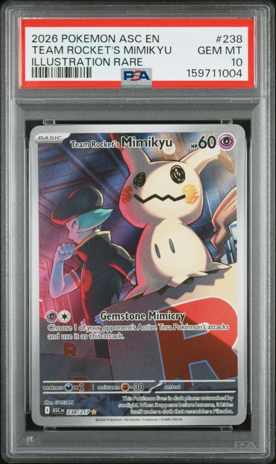 Team Rocket'S Mimikyu