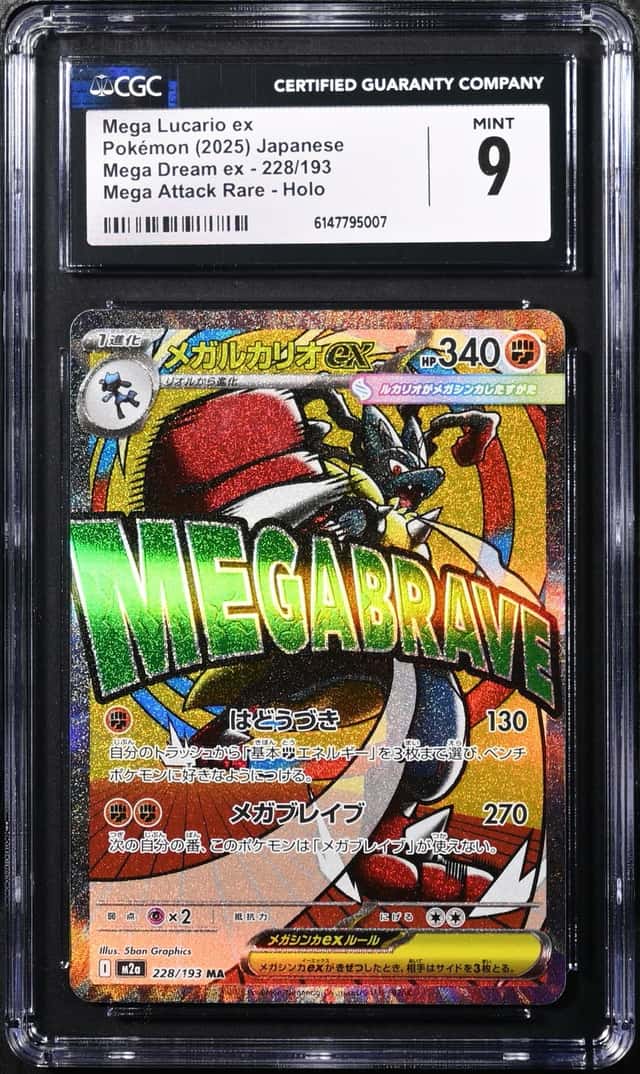MEGA LUCARIO ex