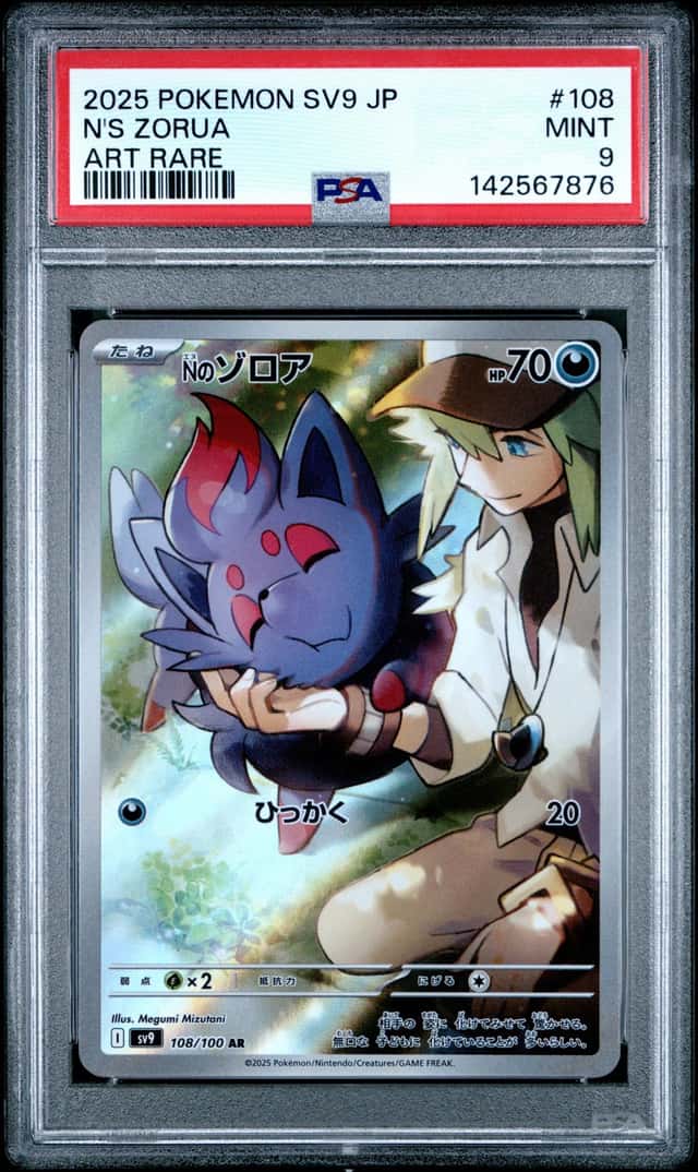 N's Zorua