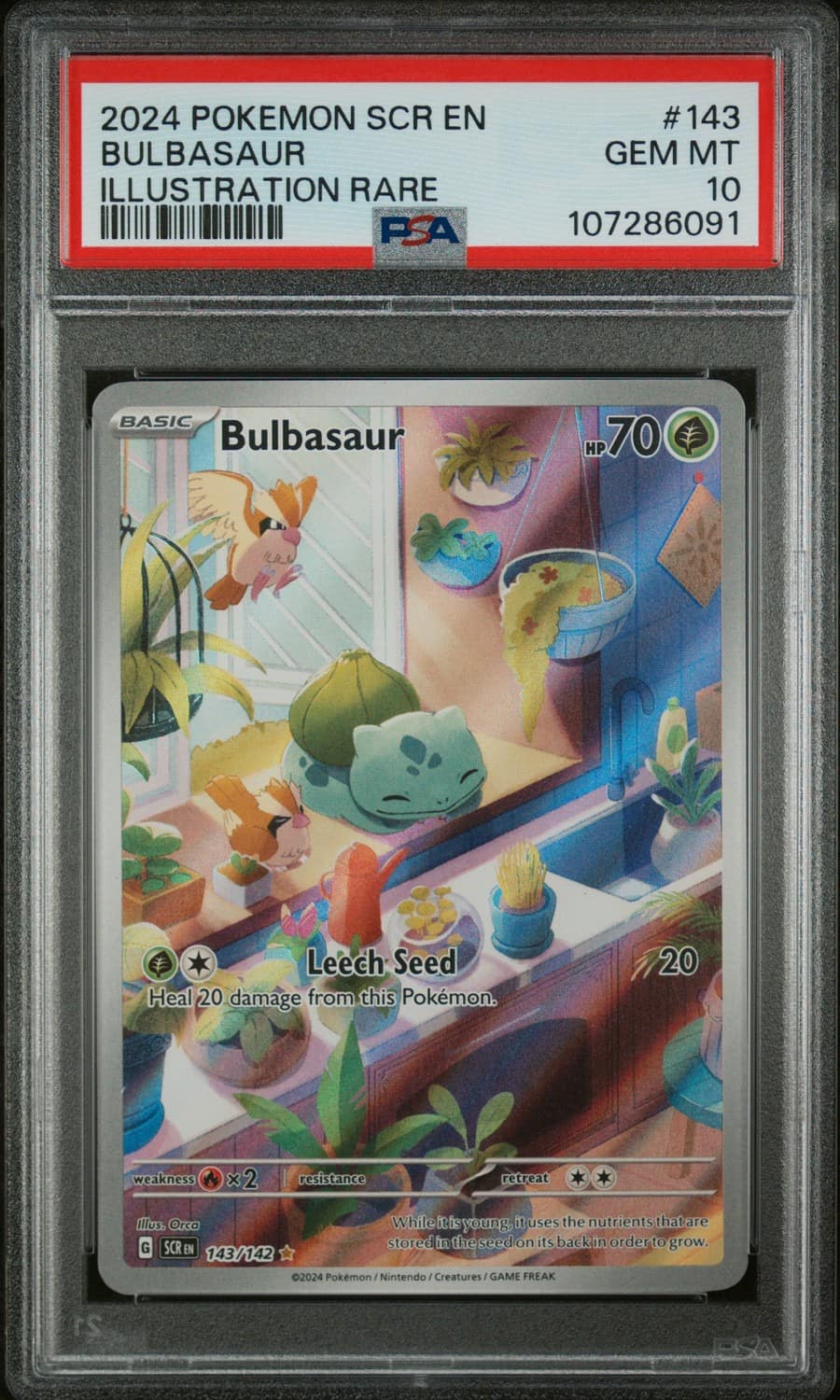 Bulbasaur