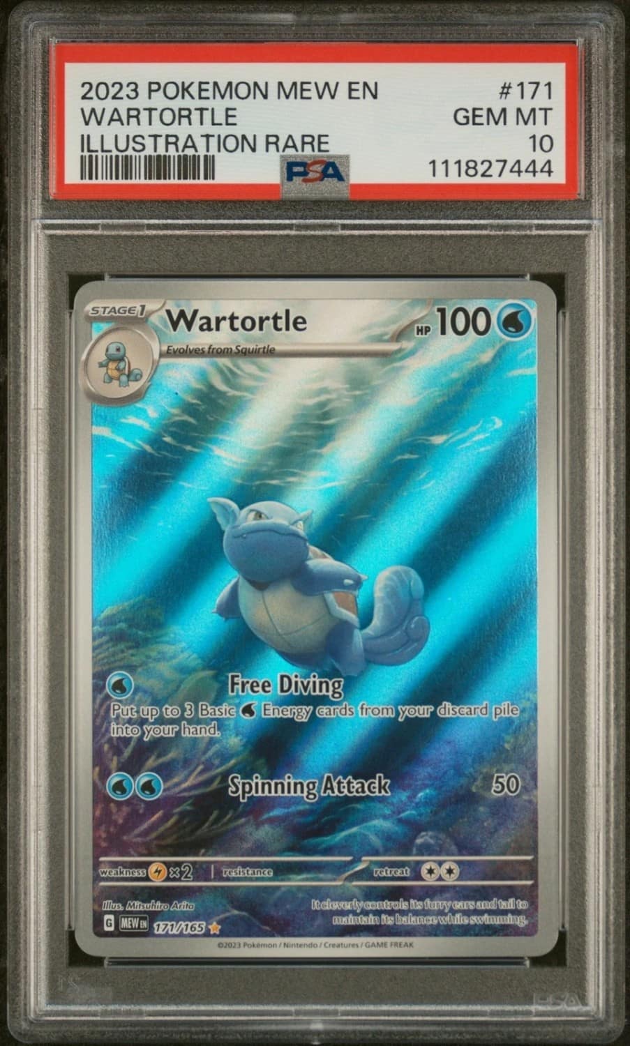 Wartortle