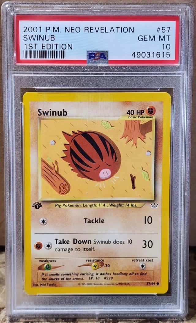 Swinub