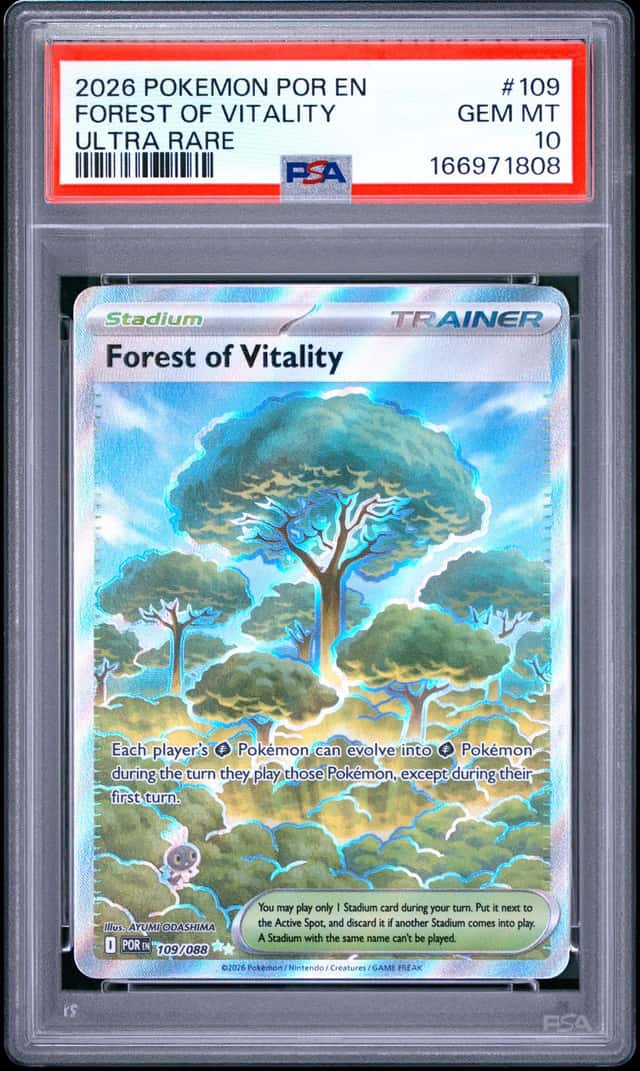 Forest Of Vitality