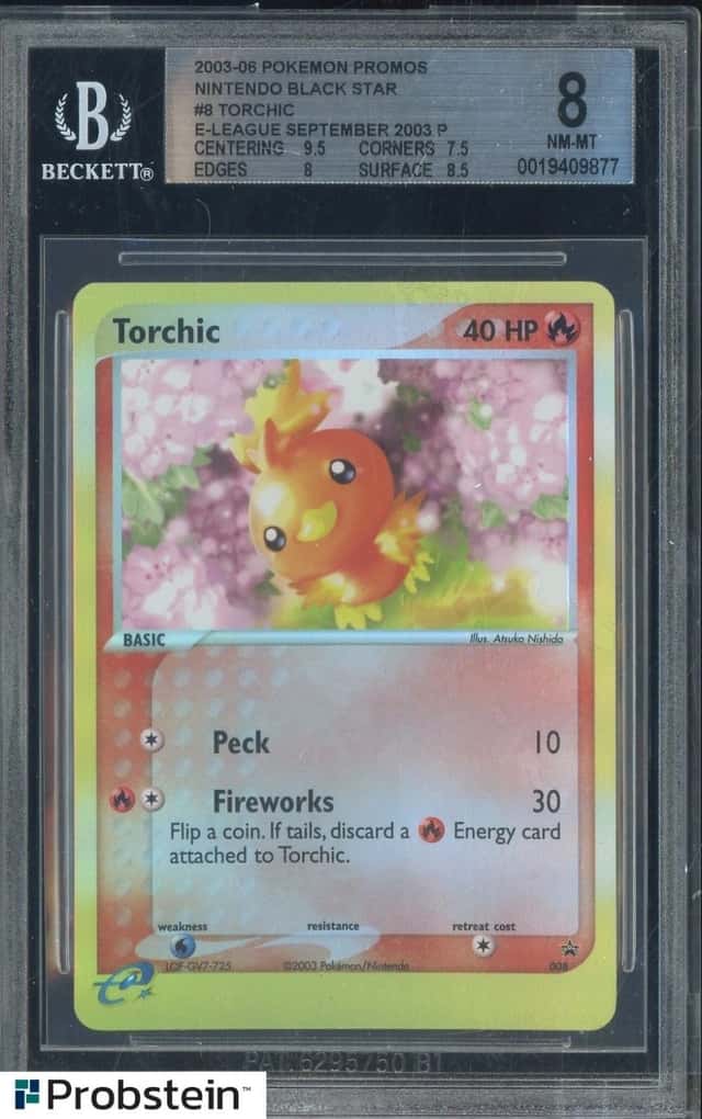 Torchic