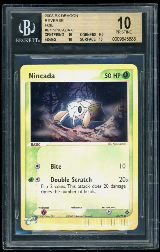 Nincada