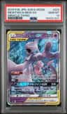 Mewtwo & Mew Gx